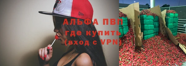 ECSTASY Абаза