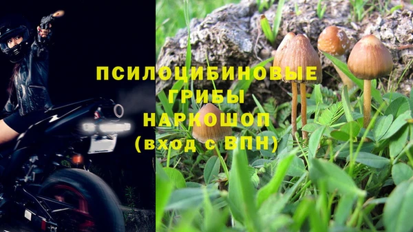 ECSTASY Абаза