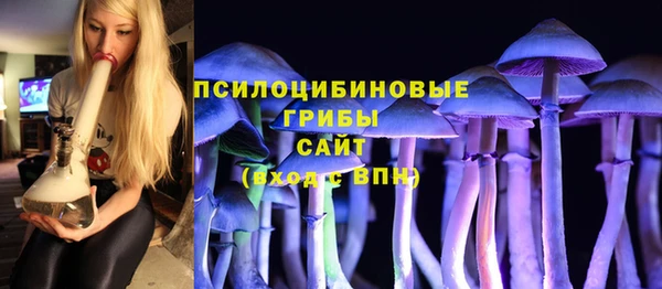 молекула духа Алексин