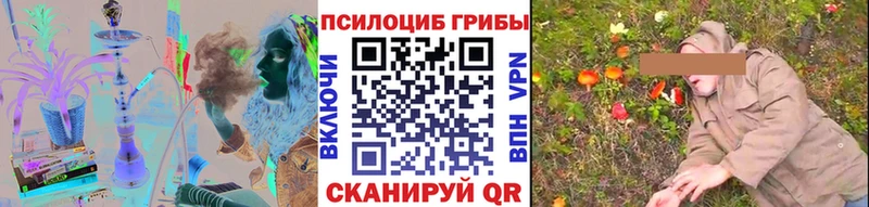 что такое наркотик Сусуман Псилоцибиновые грибы Psilocybine cubensis